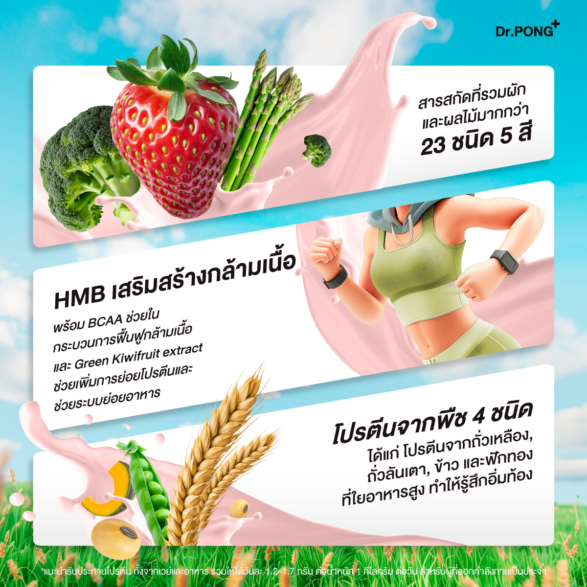 Dr.PONG 23S PLANT BASED PROTEIN L.I.N.D STRAWBERRY FLAVOUR