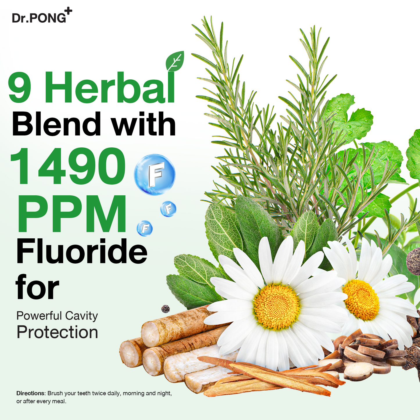 Dr.PONG 9X HERBAL PLUS FLUORIDE TOOTHPASTE