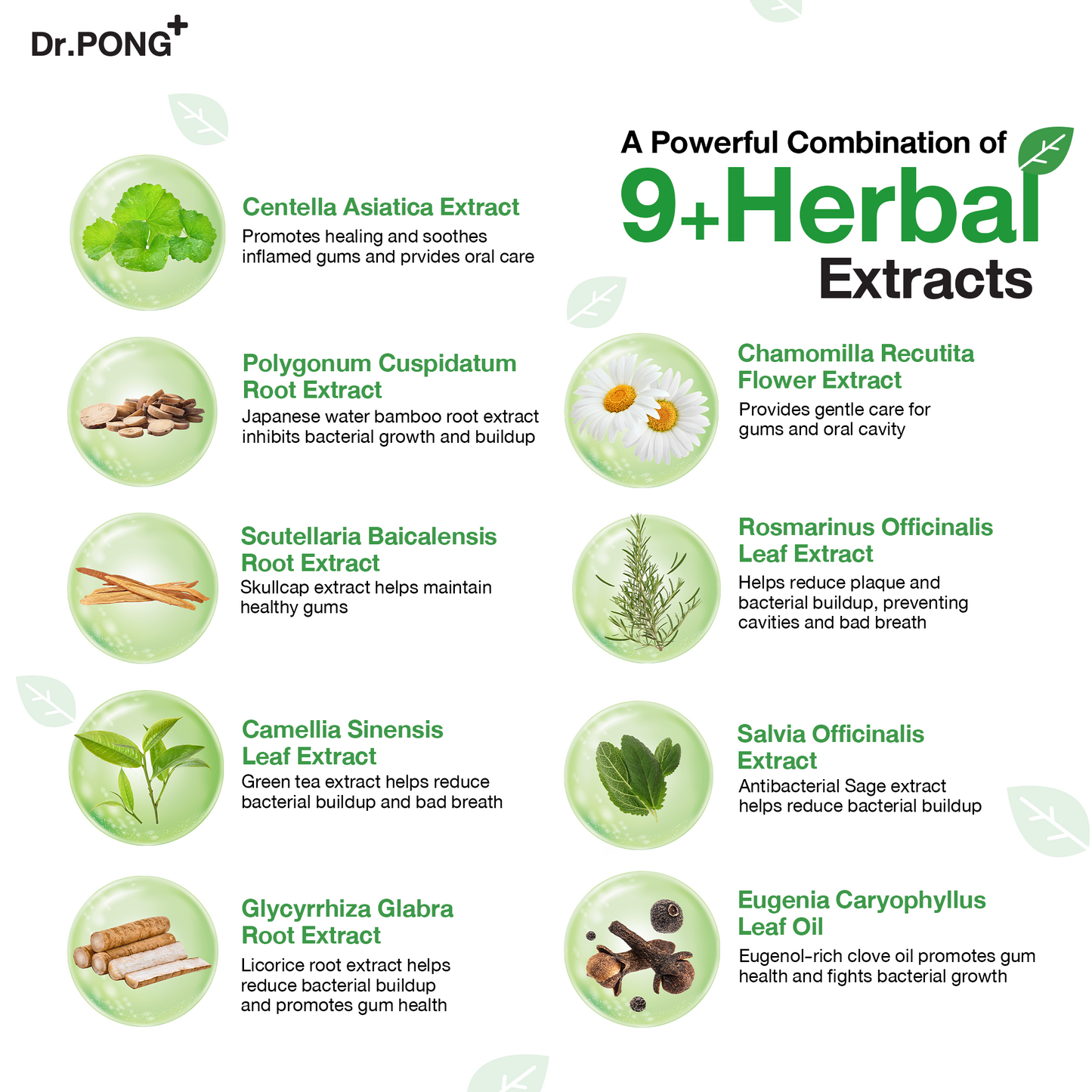 Dr.PONG 9X HERBAL PLUS FLUORIDE TOOTHPASTE