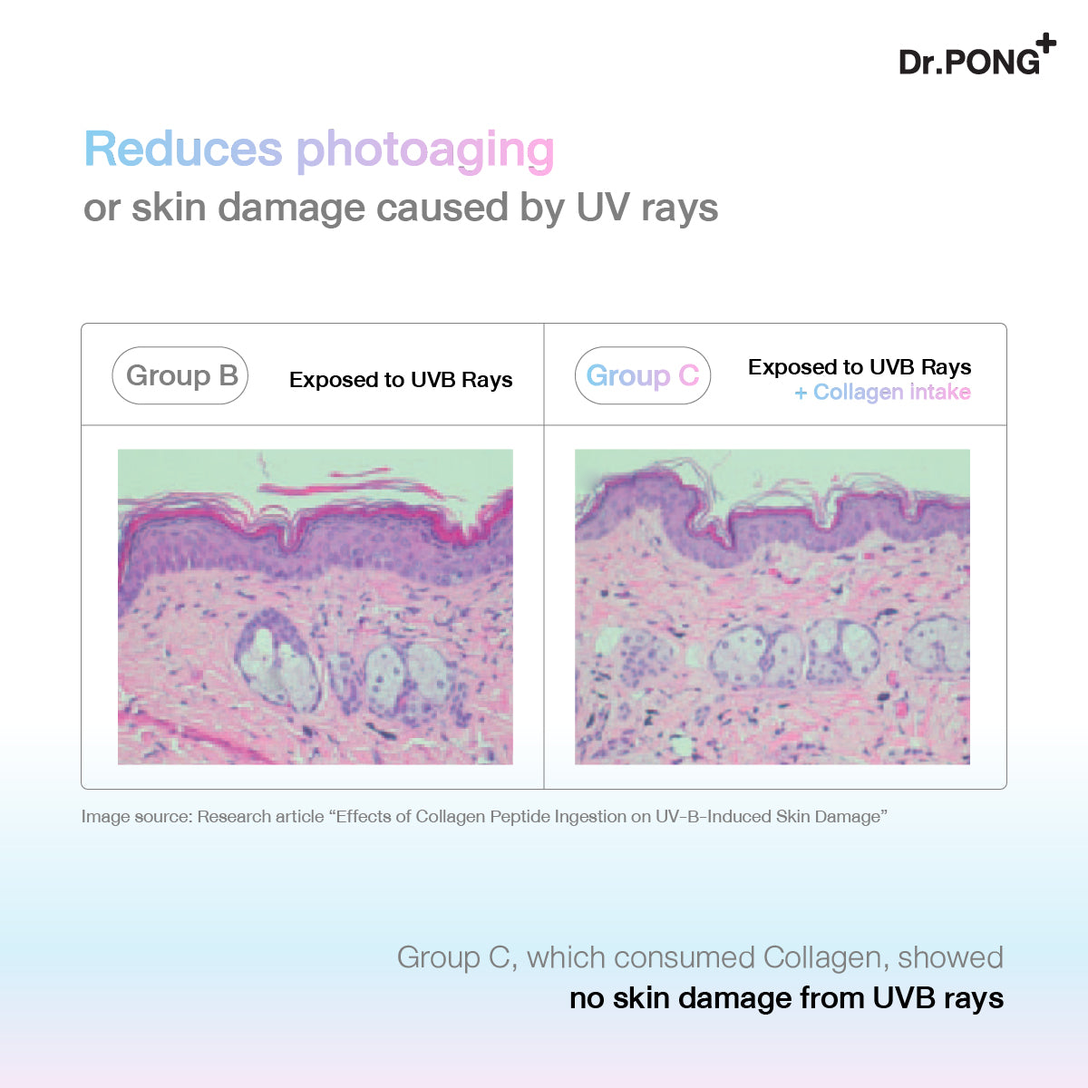 Dr.PONG JUMBO JELLYLAB COLLAGEN JELLY GRAPE FLAVOUR