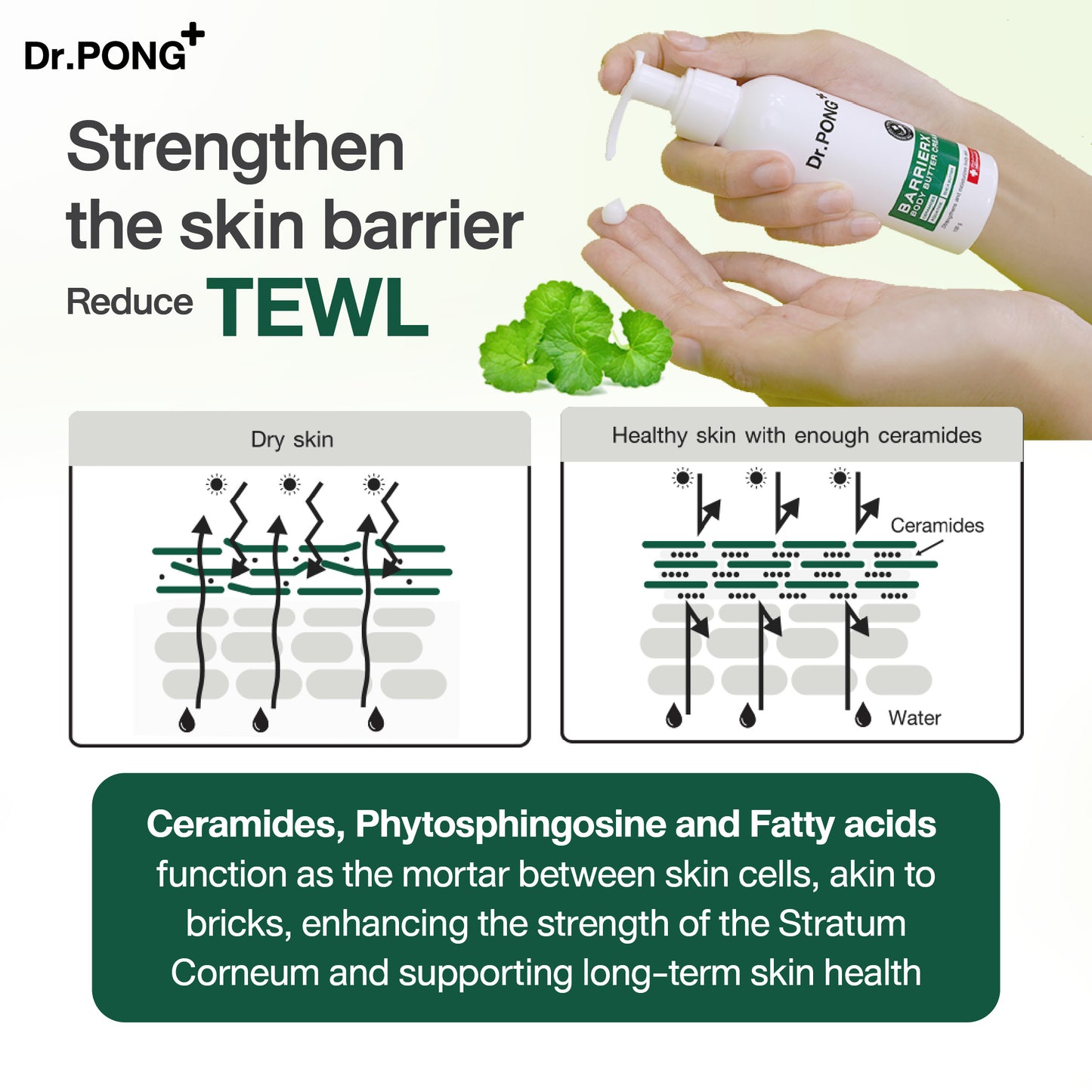 Dr.PONG BARRIER X BODY BUTTER CREAM