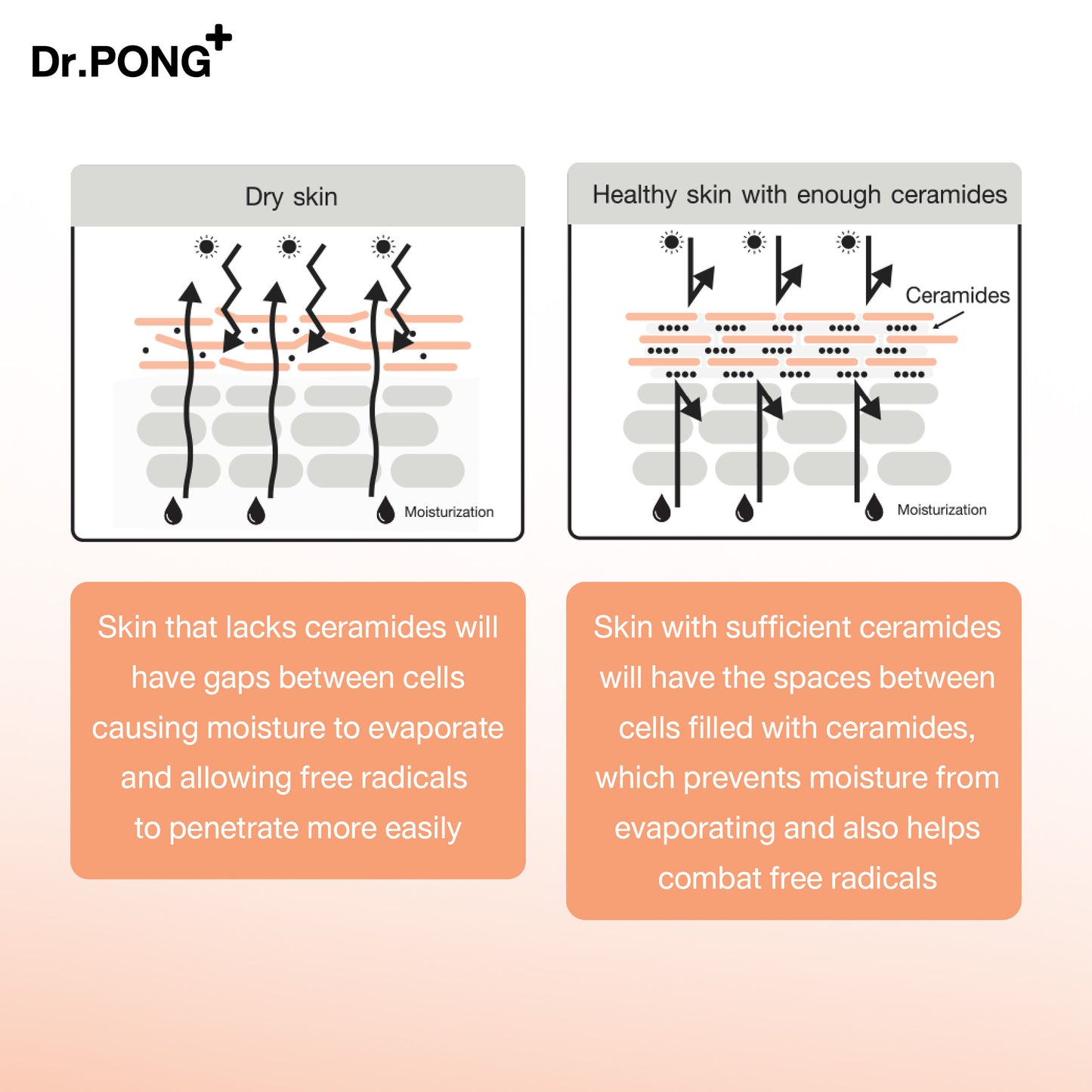Dr.PONG ADVANCED SKIN DETOXIFYING CREAM