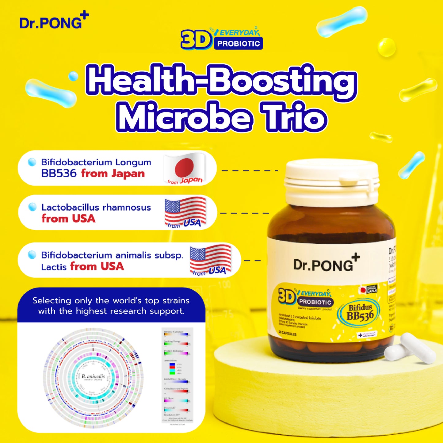 Dr.PONG 3D EVERYDAY PROBIOTIC