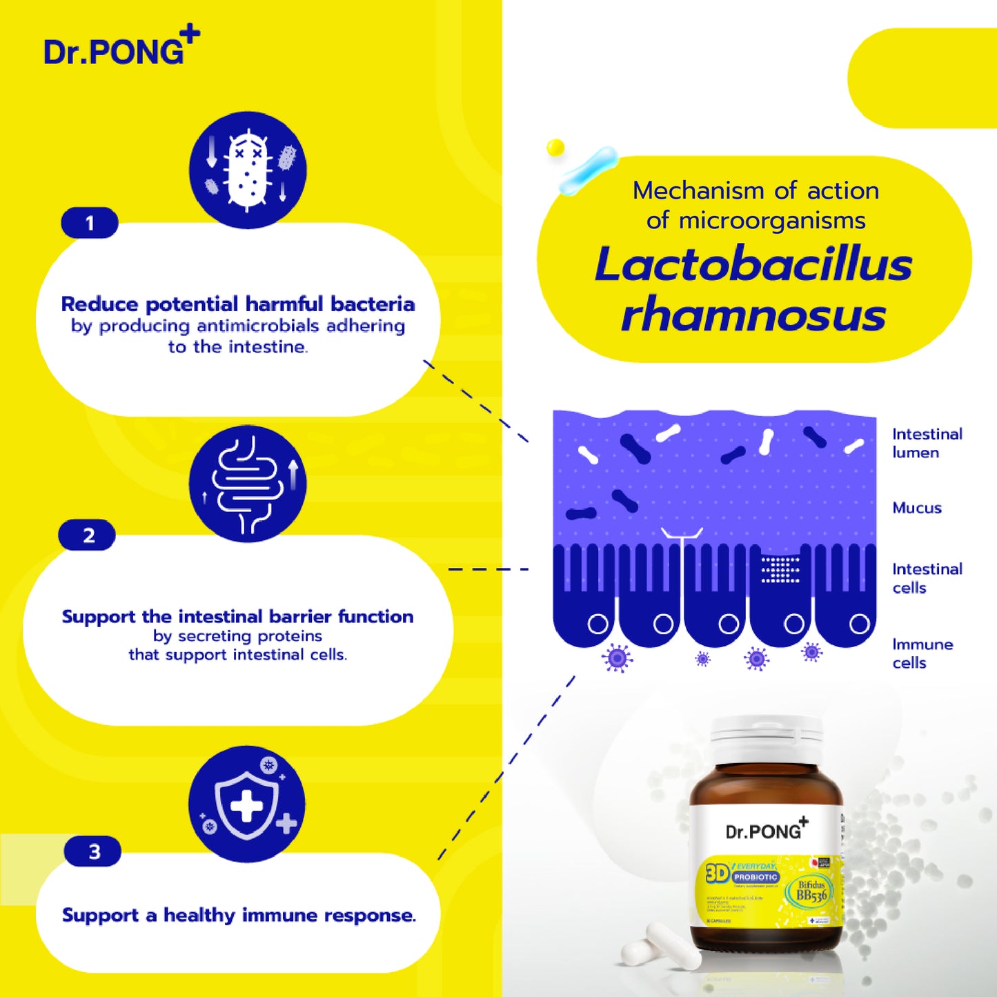 Dr.PONG 3D EVERYDAY PROBIOTIC
