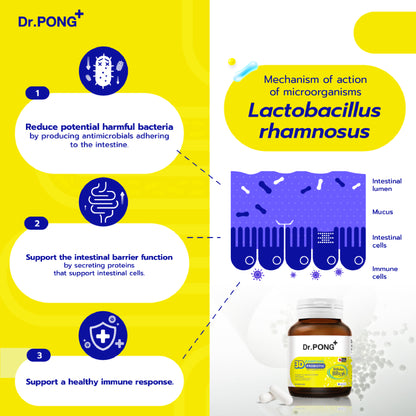 Dr.PONG 3D EVERYDAY PROBIOTIC